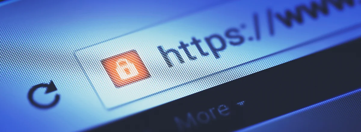 这个网站安全吗？您完整的网站安全检查指南-封面